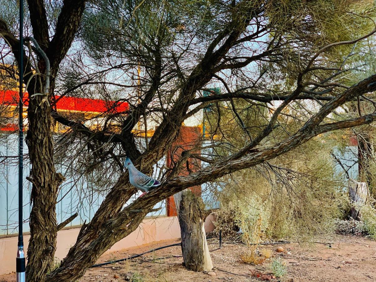 Desert Cave Hotel Coober Pedy Eksteriør bilde